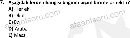 ata cocukgelisimlisans 1457 7