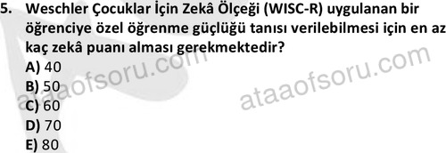 ata cocukgelisimlisans 1457 5