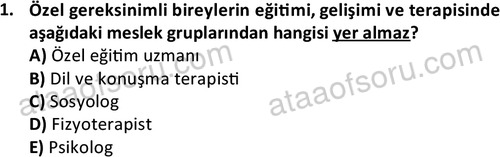 ata cocukgelisimlisans 1457 1