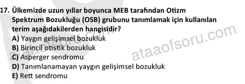 ata cocukgelisimlisans 1457 17