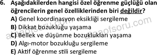 ata cocukgelisimlisans 1457 6