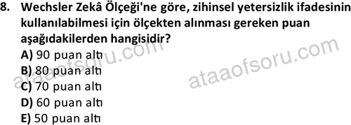 ata cocukgelisimlisans 1457 8