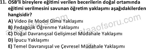 ata cocukgelisimlisans 1457 11