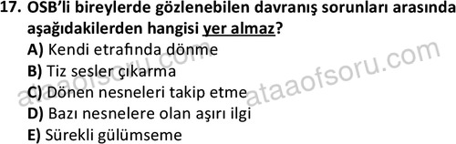 ata cocukgelisimlisans 1457 17