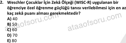 ata cocukgelisimlisans 1457 2