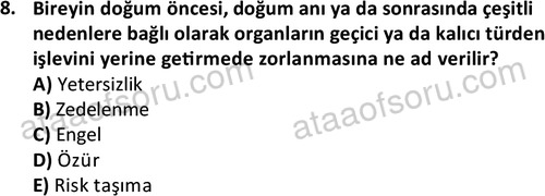 ata cocukgelisimlisans 1457 8