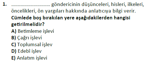 ata cocukgelisimlisans 1456 1