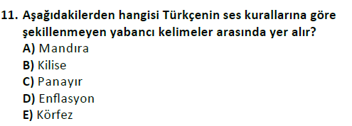 ata cocukgelisimlisans 1456 11