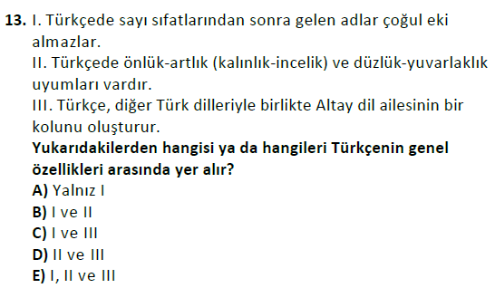 ata cocukgelisimlisans 1456 13