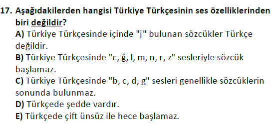 ata cocukgelisimlisans 1456 17