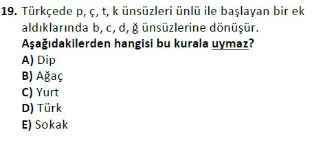 ata cocukgelisimlisans 1456 19