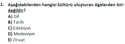 ata cocukgelisimlisans 1456 1