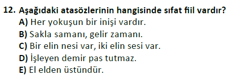 ata cocukgelisimlisans 1456 12