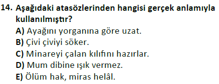 ata cocukgelisimlisans 1456 14