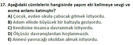 ata cocukgelisimlisans 1456 17
