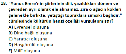 ata cocukgelisimlisans 1456 18