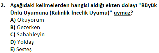 ata cocukgelisimlisans 1456 2