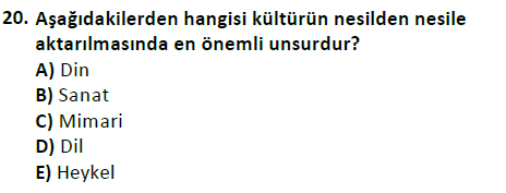 ata cocukgelisimlisans 1456 20