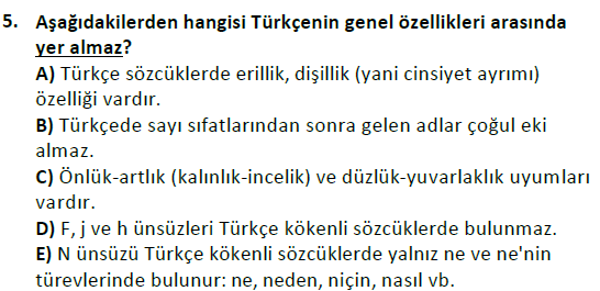 ata cocukgelisimlisans 1456 5