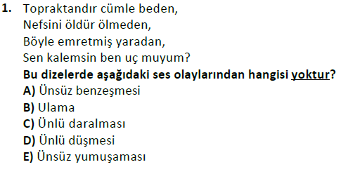 ata cocukgelisimlisans 1456 1
