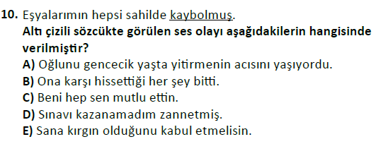 ata cocukgelisimlisans 1456 10