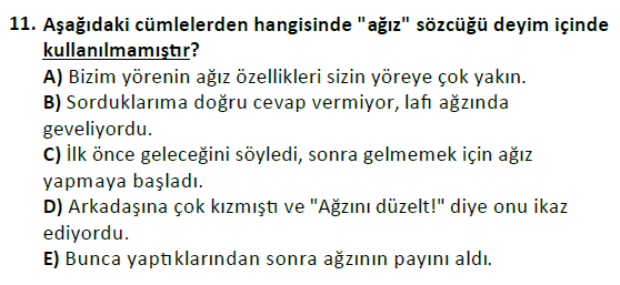 ata cocukgelisimlisans 1456 11