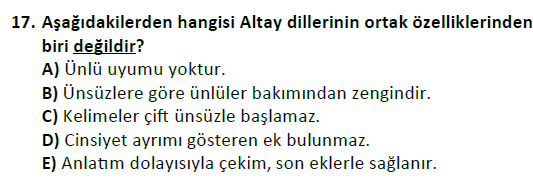ata cocukgelisimlisans 1456 17