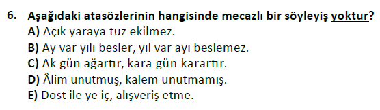 ata cocukgelisimlisans 1456 6