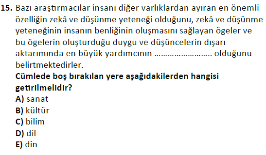 ata cocukgelisimlisans 1456 15