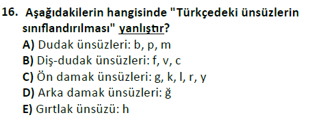 ata cocukgelisimlisans 1456 16