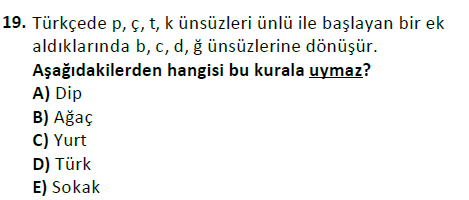 ata cocukgelisimlisans 1456 19