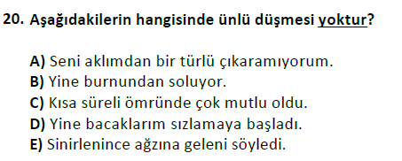 ata cocukgelisimlisans 1456 20