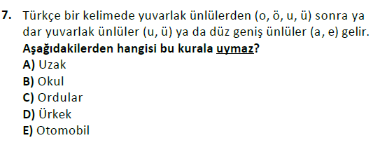 ata cocukgelisimlisans 1456 7