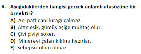 ata cocukgelisimlisans 1456 8