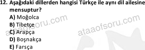 ata cocukgelisimlisans 1456 12