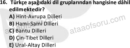 ata cocukgelisimlisans 1456 16