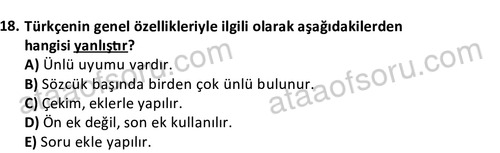 ata cocukgelisimlisans 1456 18