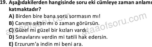 ata cocukgelisimlisans 1456 19