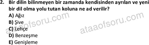 ata cocukgelisimlisans 1456 2