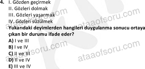 ata cocukgelisimlisans 1456 4