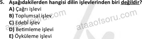 ata cocukgelisimlisans 1456 5