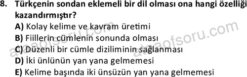 ata cocukgelisimlisans 1456 8