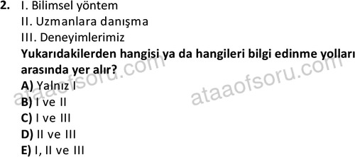 ata cocukgelisimlisans 1474 2