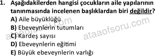 ata cocukgelisimlisans 1471 1