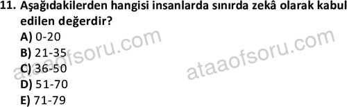 ata cocukgelisimlisans 1471 11