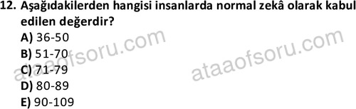 ata cocukgelisimlisans 1471 12