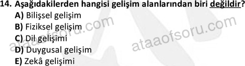 ata cocukgelisimlisans 1471 14