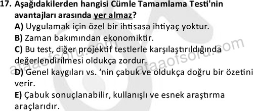 ata cocukgelisimlisans 1471 17