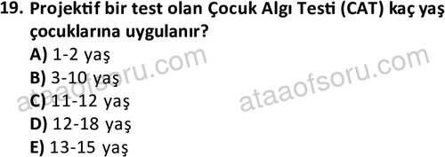 ata cocukgelisimlisans 1471 19