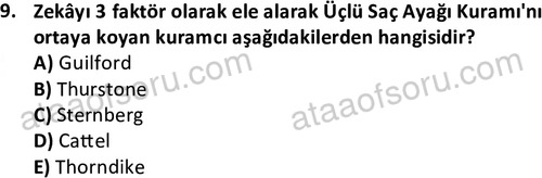 ata cocukgelisimlisans 1471 9
